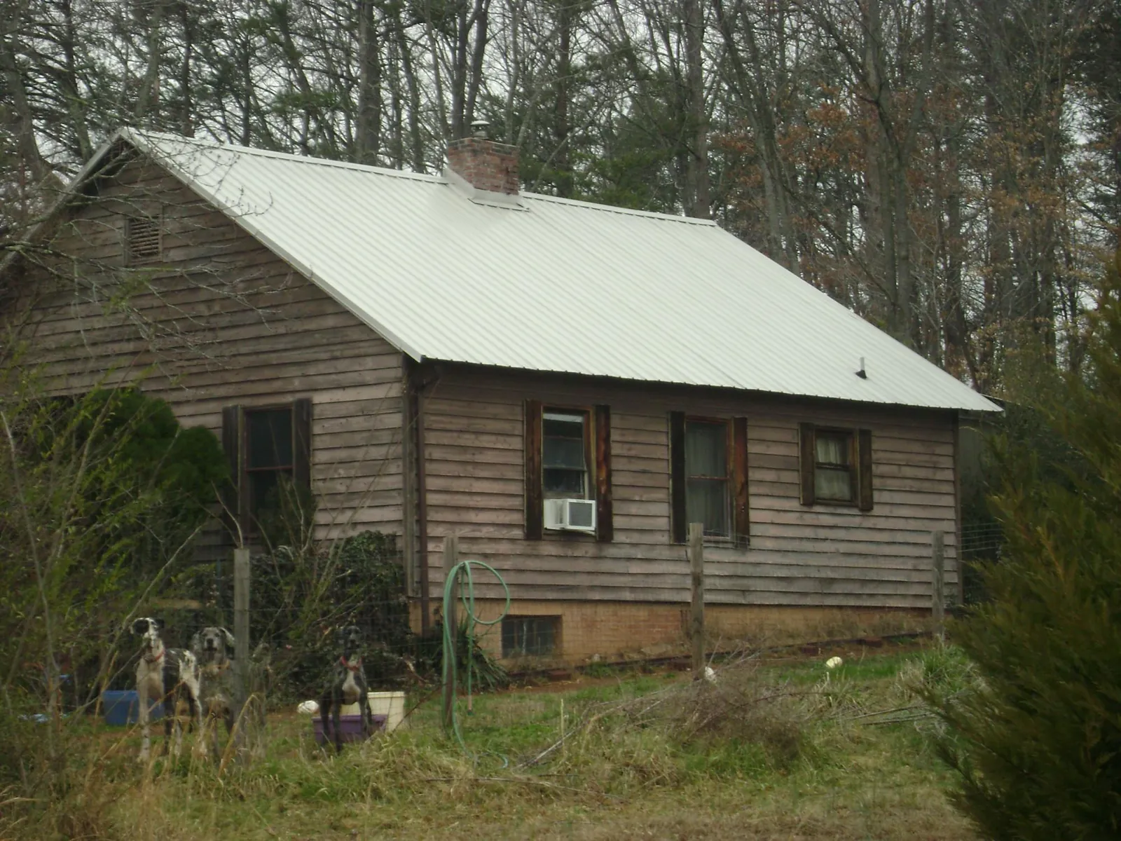 White metal roof on an old wood sided farmhouse, from a Asphalt Shingle Roof Repair job in Donnelly